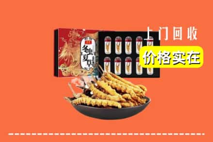焦作市解放回收虫草