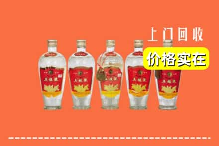 焦作市解放回收老五粮液